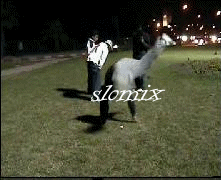 SlOMiX